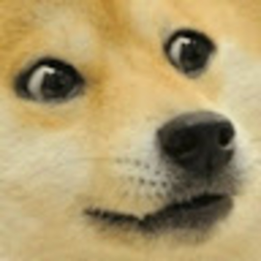 Meet your Posher, Альшан